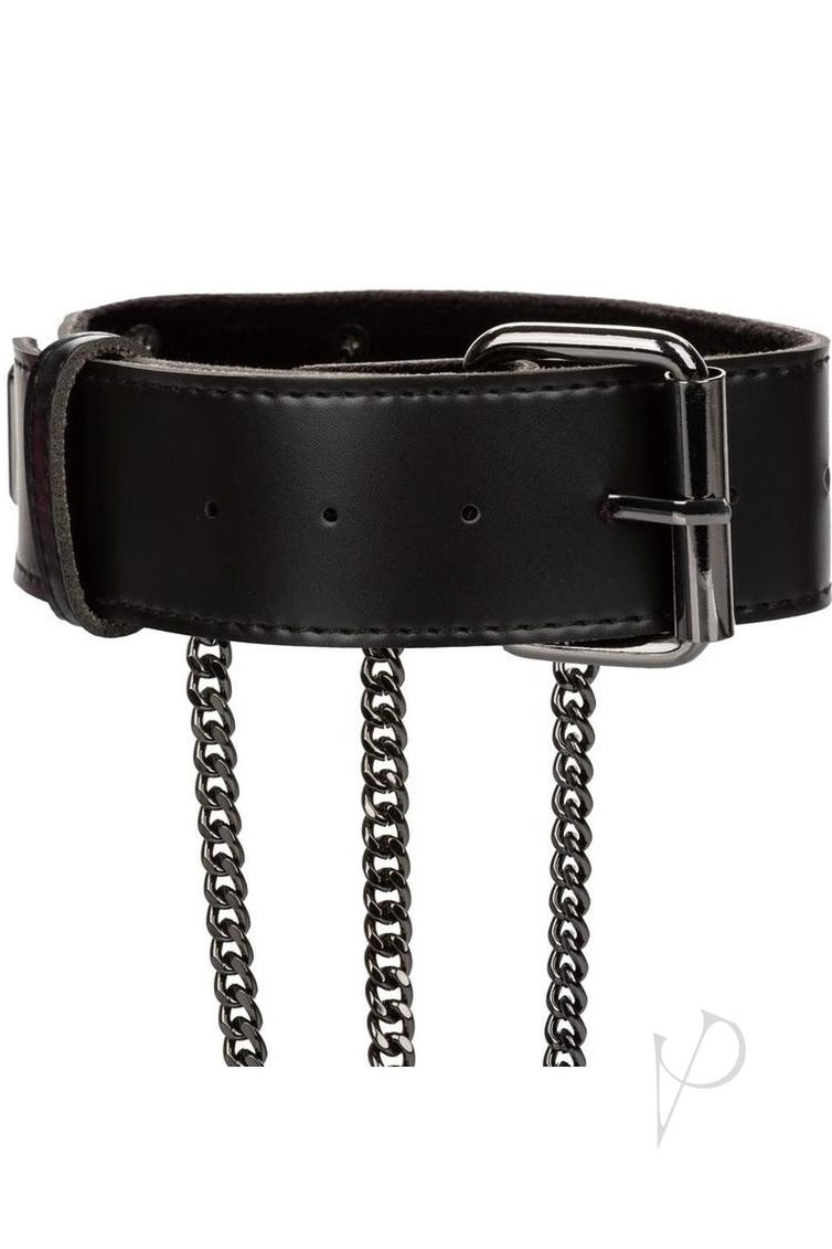 Multi Chain Collar Harness