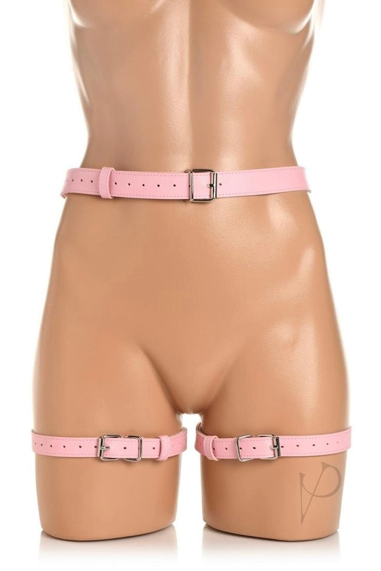Strict Bondage Harness with Bows