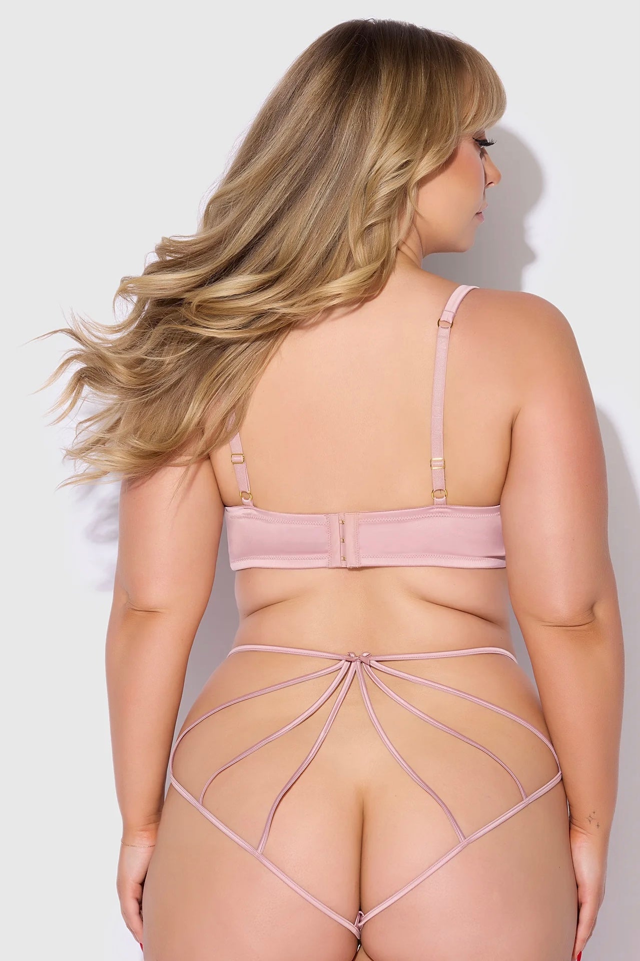 Plus size Brigeta bra and open back hipster set