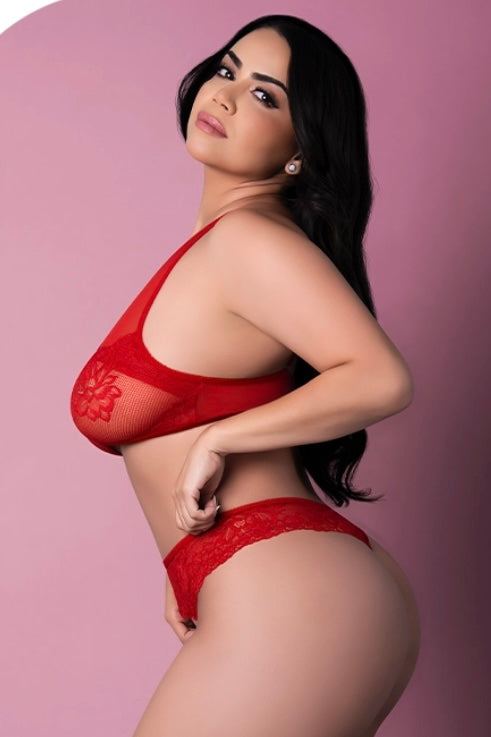 Plus size Mesh Peek-a-Boo Bra & Panty Set