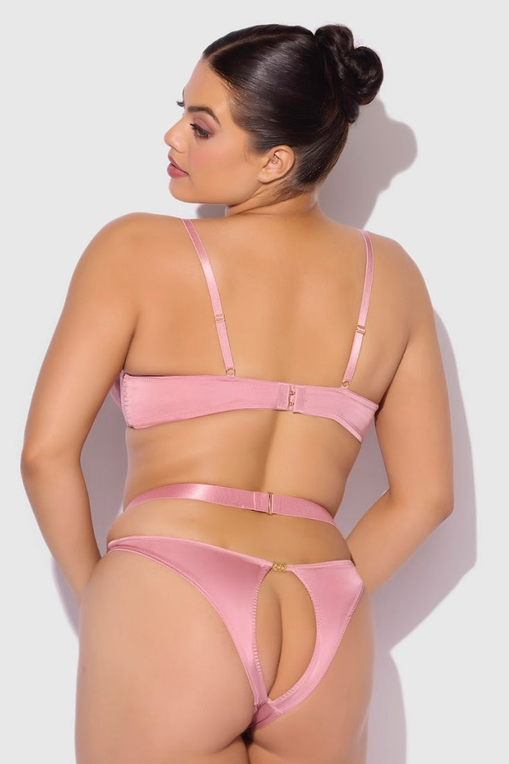 Plus size Helena bra, garter, hipster set pink